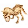 Изображение Green Science 4M: Скелет Трицератопса