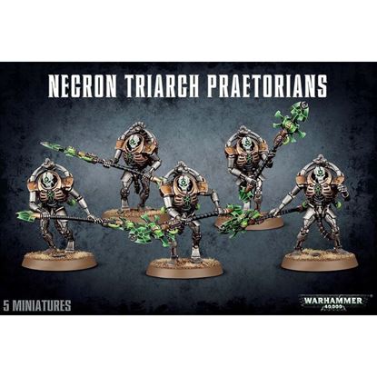 Изображение GW Necron Lychguard/Triarch Praetorians
